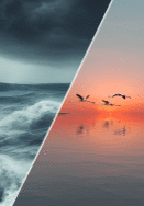 Crisis-to-Calm-Waters